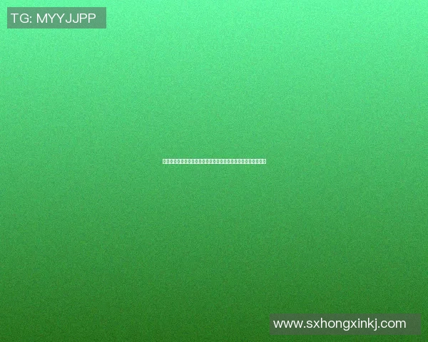 人气第一足球明星背后的故事与成就揭示他如何征服全球球迷的心